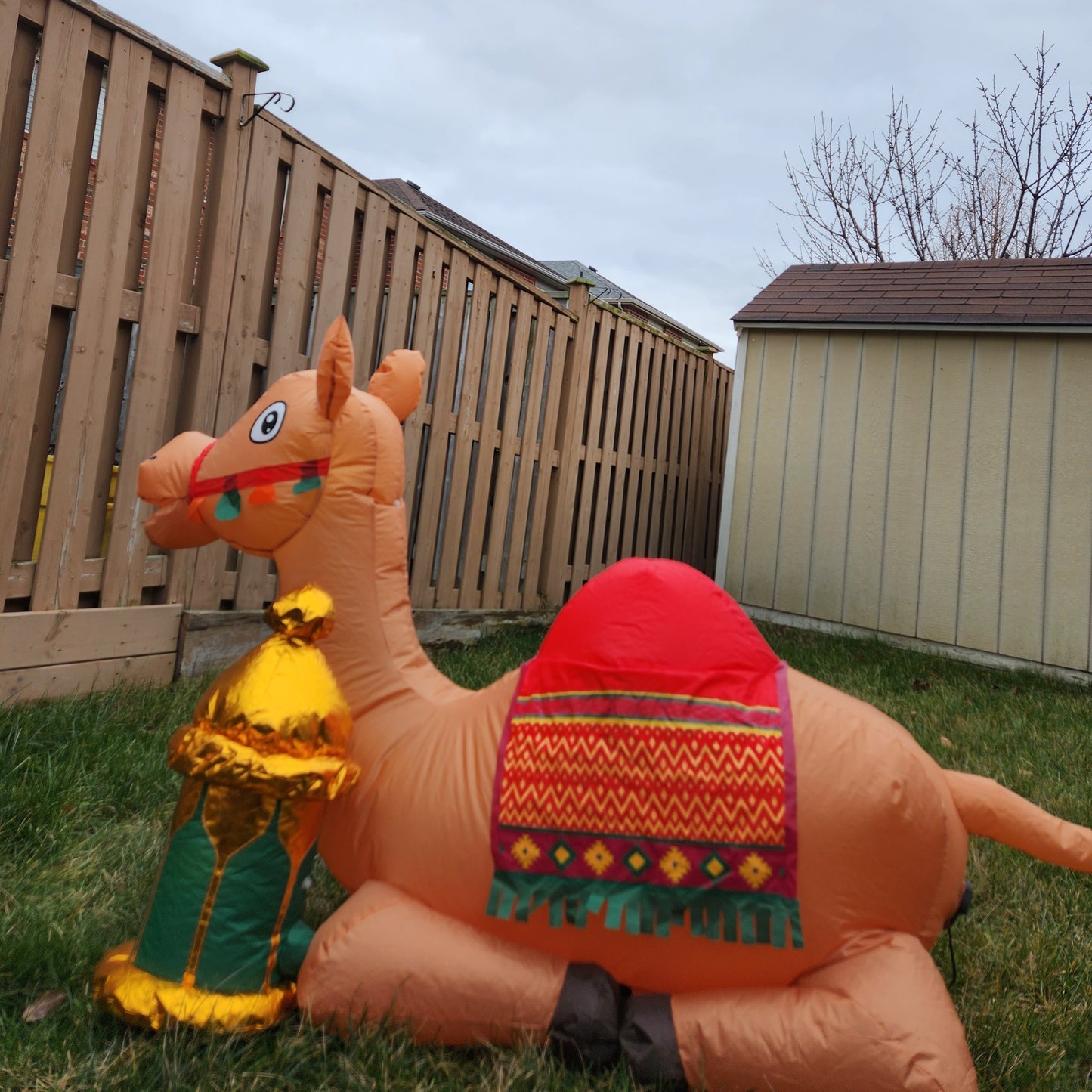 Camel Inflatable 'Jamal' - New Traditions Store