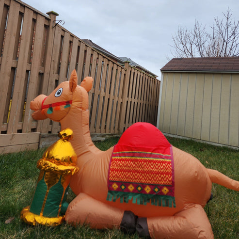 Camel Inflatable 'Jamal' - New Traditions Store